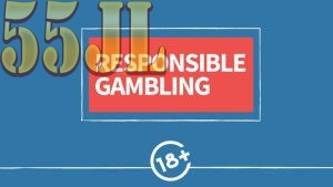 Responsible Gaming at 55JL